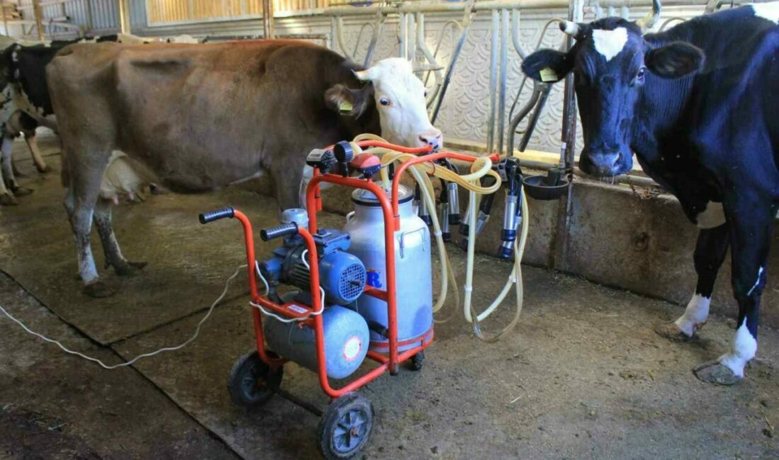 TÜSEDAD, sıcak süt tavsiye fiyatının 21 lira olmasını istedi Tüm Süt, Et ve Damızlık Sığır Yetiştiricileri Birliği (TÜSEDAD), 1