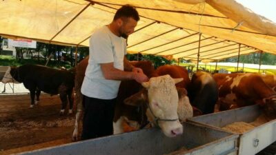 Tarım ve Orman Bakanlığı Gıda ve Kontrol Genel Müdürlüğü, 81