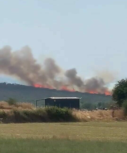 Uluabat Gölü’nden defalarca sorti yaptılar…Bursa’da iki ayrı noktada orman yangını Bursa’nın Karacabey ilçesine bağlı İkizce ile Nilüfer ilçesine bağlı Akçalar