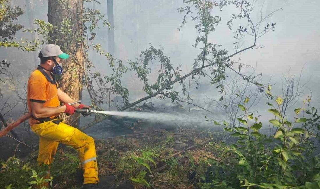 Uludağ Ketenlik Yaylası’nda çıkan orman yangını, ekiplerinin havadan ve karadan