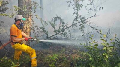 Uludağ Ketenlik Yaylası’nda çıkan orman yangını, ekiplerinin havadan ve karadan