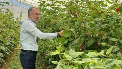 Bursa Ticaret ve Sanayi Odası (BTSO) öncülüğünde, 9-12 Temmuz 2025