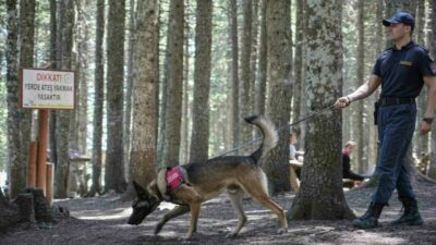 Bursa’nın gözde turizm merkezlerinden Uludağ’da jandarma ekipleri, orman yangınlarına karşı