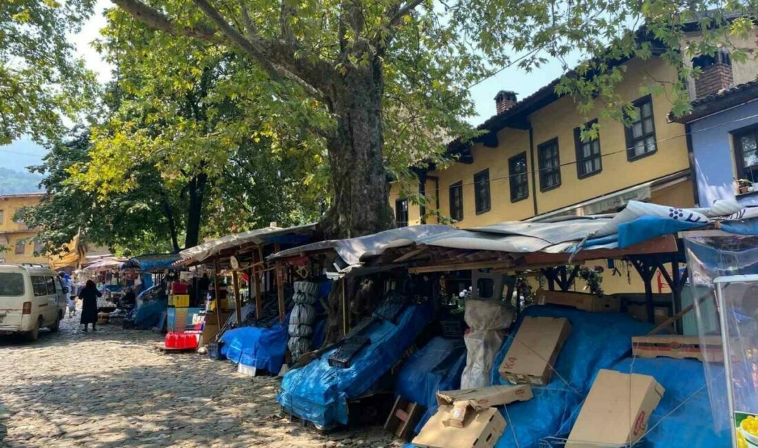 Unesco miras listesindeki 700 yıllık tarihi köye düzen geliyor Bursa’da Yıldırım Belediyesi, Unesco Dünya Miras listesine giren 700 yıllık