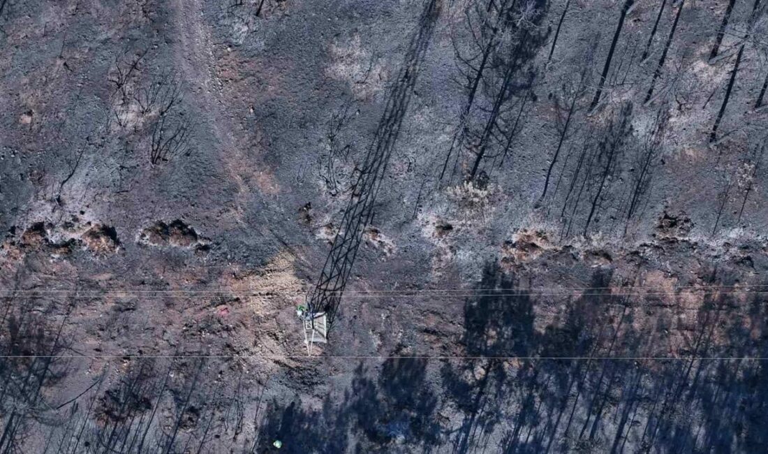 Yangın bölgesinde enerji hatlarının onarımı başladı Son günlerde ülke genelinde pek çok farklı noktada gerçekleşen orman