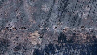 Son günlerde ülke genelinde pek çok farklı noktada gerçekleşen orman