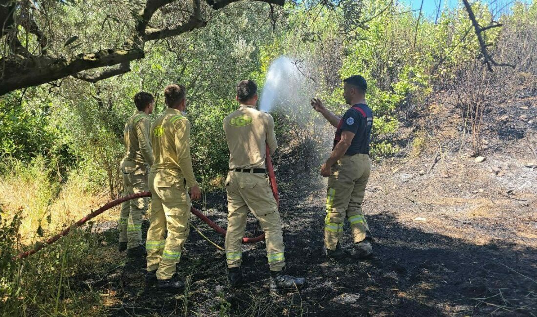 Bursa’nın Mudanya ilçesi Göktepe mevkiinde çıkan yangında yaklaşık 8 dönümlük