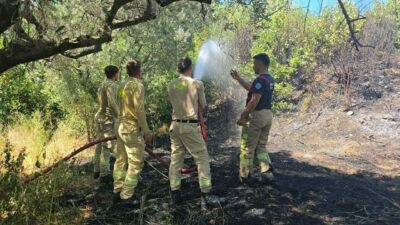 Bursa’nın Mudanya ilçesi Göktepe mevkiinde çıkan yangında yaklaşık 8 dönümlük