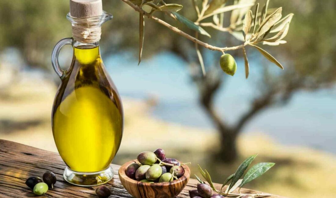 Zeytinyağında bu fiyatları “yok yılı” gelmeden kaçırmayın Zeytinde, geçen döneme göre yüzde 40 ya da daha fazla