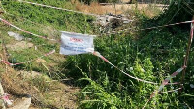 Bursa’da ailesine destek olmak için tarlaya çalışmaya giden 14 yaşındaki