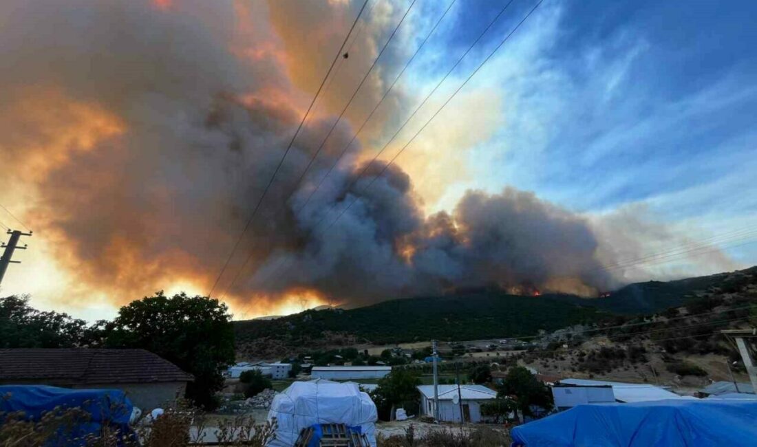 Bursa’nın Yenişehir ilçesinde çıkan orman yangınları Fethiye ve Seymen köyleri