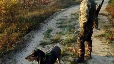 Tarım ve Orman Bakanı İbrahim Yumaklı, ormanlarda 2025 yılı için