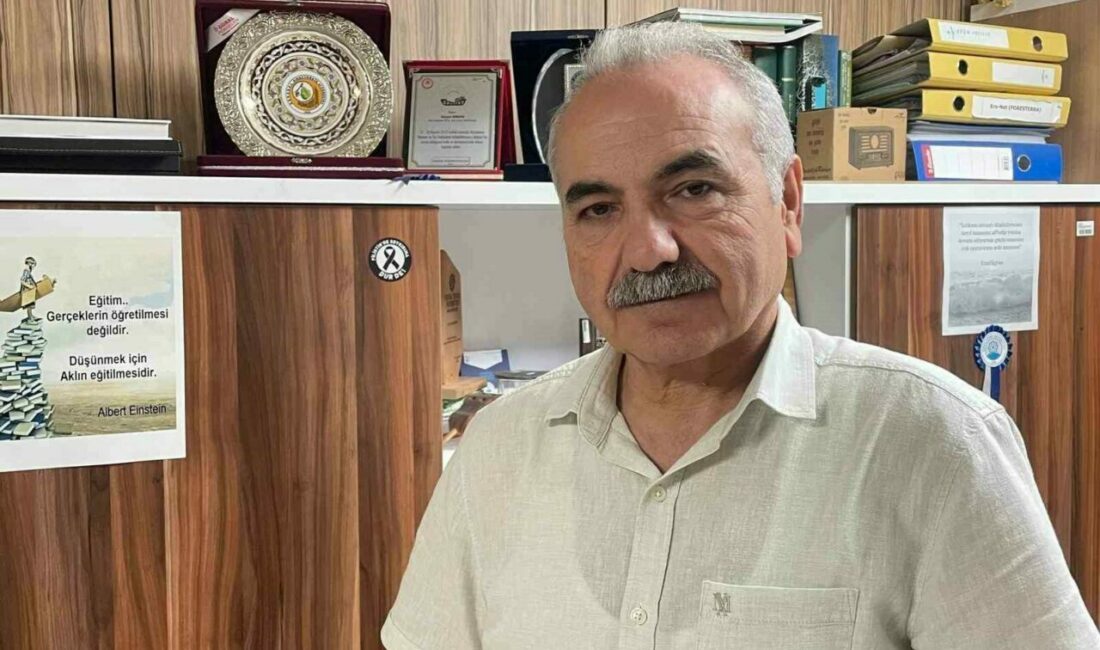 Bin hektar ormanlık alanla 600 milyon lira da kül oluyor Bir hektarlık genç kızılçam ormanının yanmasıyla, ürettiği odun ve bölgenin