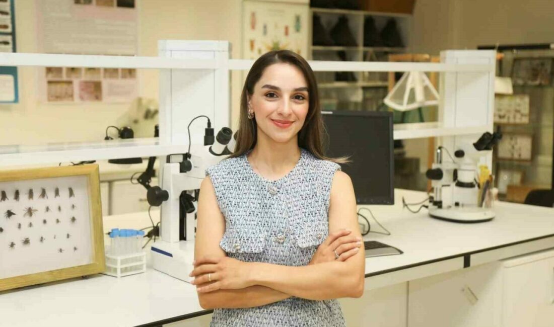 BTÜ Karacabey’in nadir böcek türlerini kayıt altına alacak Bursa Teknik Üniversitesi akademisyenleri, Karacabey ormanlarındaki Chalcidoidea üst familyasına ait