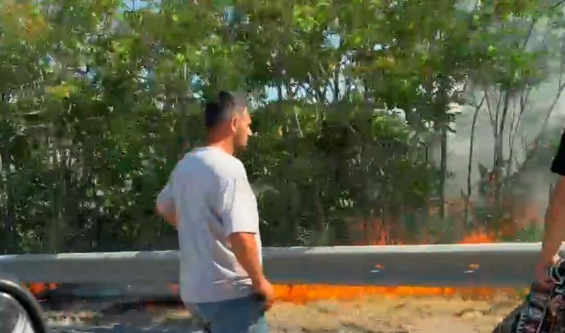 Bursa-İzmir-İstanbul otoyolu kenarındaki otluk alanda yangın başladı. Bursa Şehir Hastanesi’nin