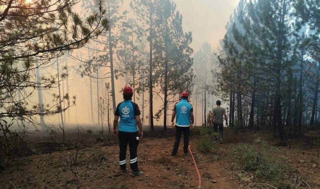 Bursa UMKE zorlu sınavdan başarıyla geçti Bursa’da geçtiğimiz günlerde birçok noktada çıkan orman yangınlarında, yangın söndürme