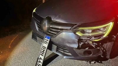 Bursa’da seyir halindeki sürücü, yola aniden çıkan ayıya çarptı. Kazada