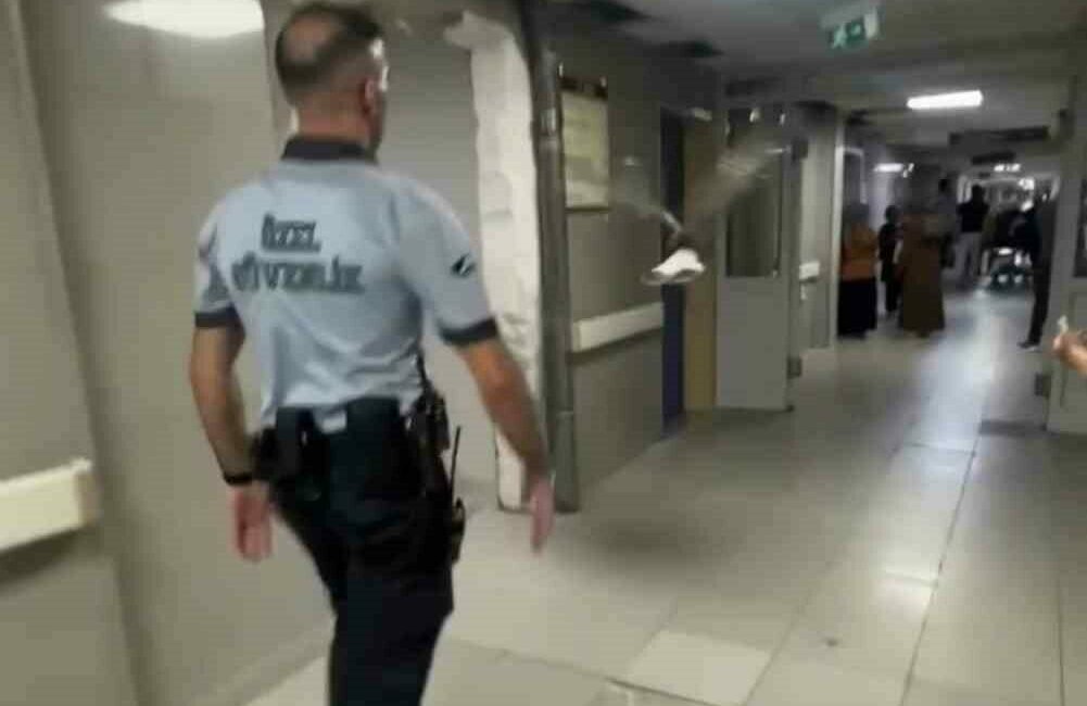 Bursa’da bir martı acile uçarak girdi Bursa’da bu kez “kanatlı” bir hasta acile başvurdu. Acil servisin