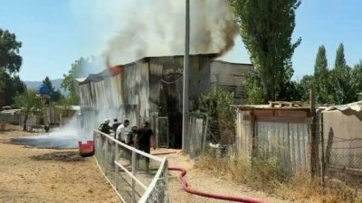 Bursa’nın Nilüfer ilçesinde bir çiftliğin hayvan damında çıkan yangında 1
