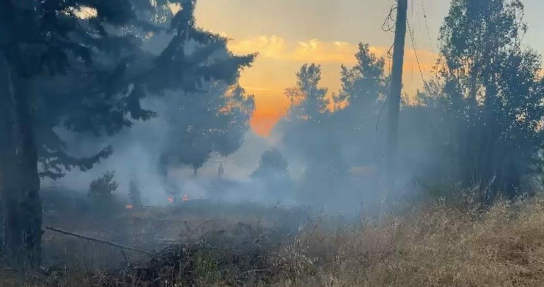 Bursa Uludağ Üniversitesi yerleşkesindeki ormanlık alanda yangın çıktı. Korkutan yangın,