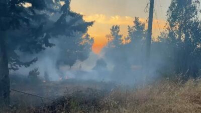 Bursa Uludağ Üniversitesi yerleşkesindeki ormanlık alanda yangın çıktı. Korkutan yangın,