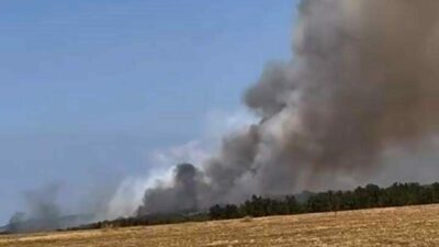 Bursa’nın Nilüfer ilçesi Başköy mevkiinde orman yangını çıktı. Kısa sürede