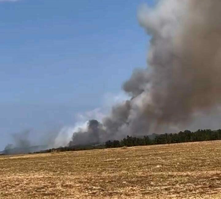 Bursa’da orman yangını, çok sayıda ekip müdahale ediyor Bursa’nın Nilüfer ilçesi Başköy mevkiinde orman yangını çıktı. Kısa sürede
