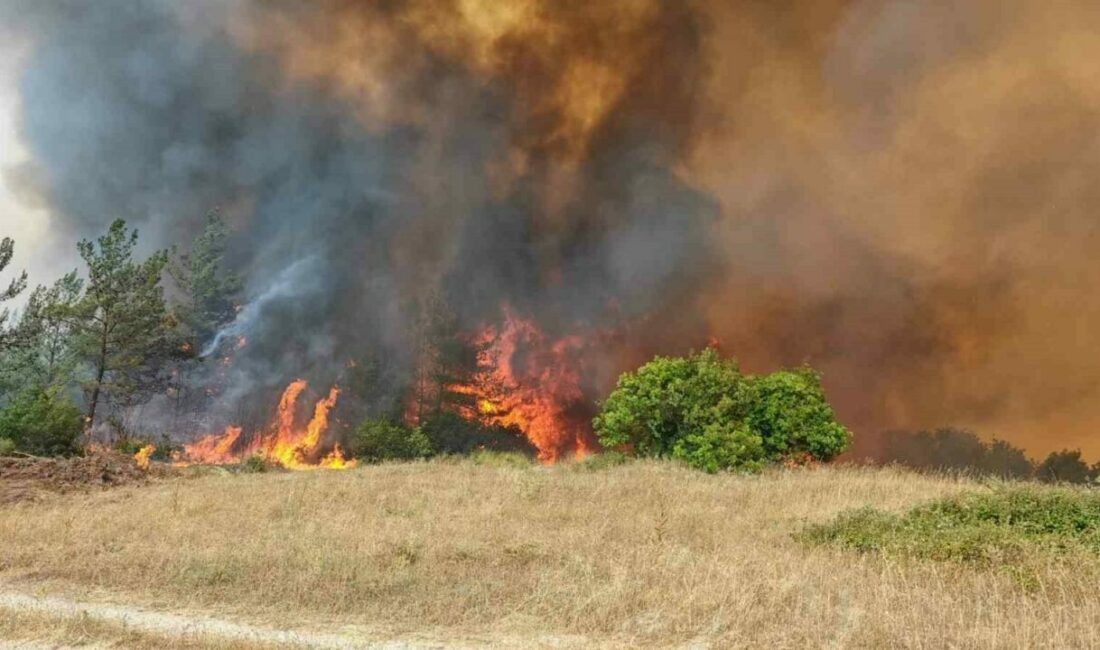 Bursa’da orman yangını kontrol altına alındı Bursa’nın Yenişehir ilçesinde çıkan orman yangını, ekiplerin havadan ve karadan