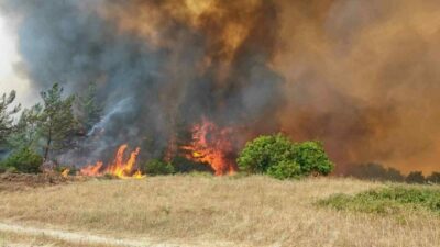 Bursa’nın Yenişehir ilçesinde çıkan orman yangını, ekiplerin havadan ve karadan