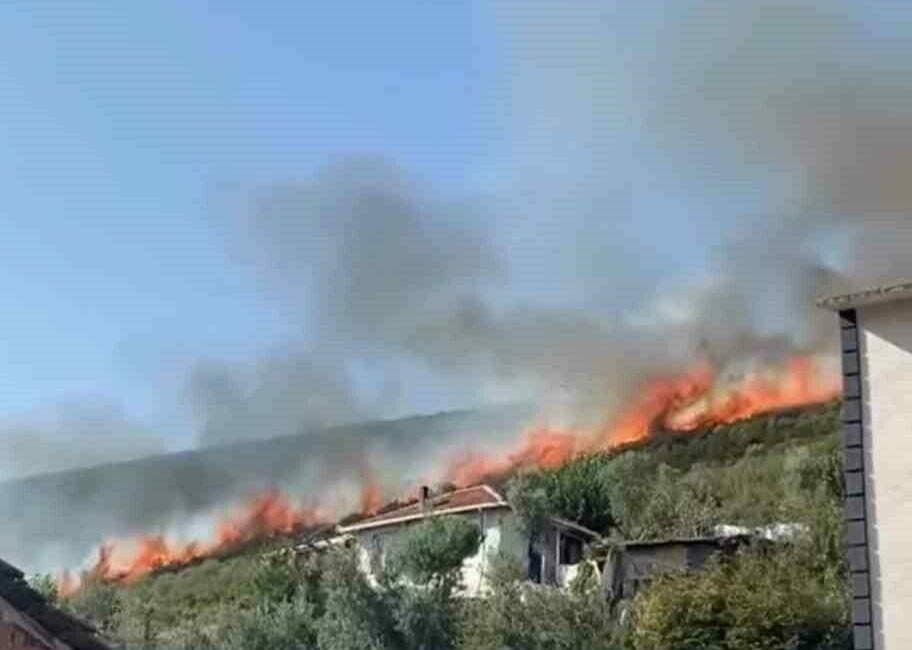 Bursa’da orman yangını… Bursa’nın Orhangazi ilçesinde orman yangını çıktı. Ekiplerin havadan ve karadan