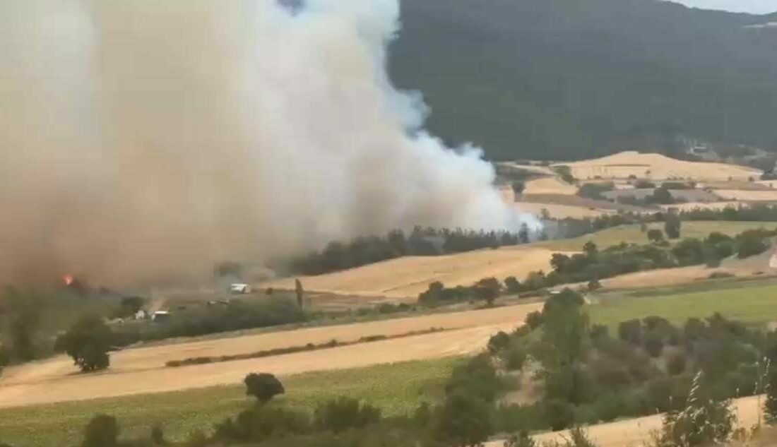 Bursa’da orman yangınına havadan ve karadan müdahale Bursa’nın Yenişehir ilçesine bağlı Kavaklı köyü kırsalında çıkan orman yangınına,