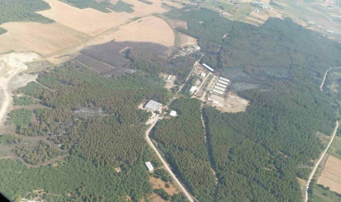 Bursa’da yanan alanlar hızla yeşillendirilecek Bursa Orman Bölge Müdürlüğü, Gürsu ve Harmancık’ta yanan alanların yeşillendirilmesi