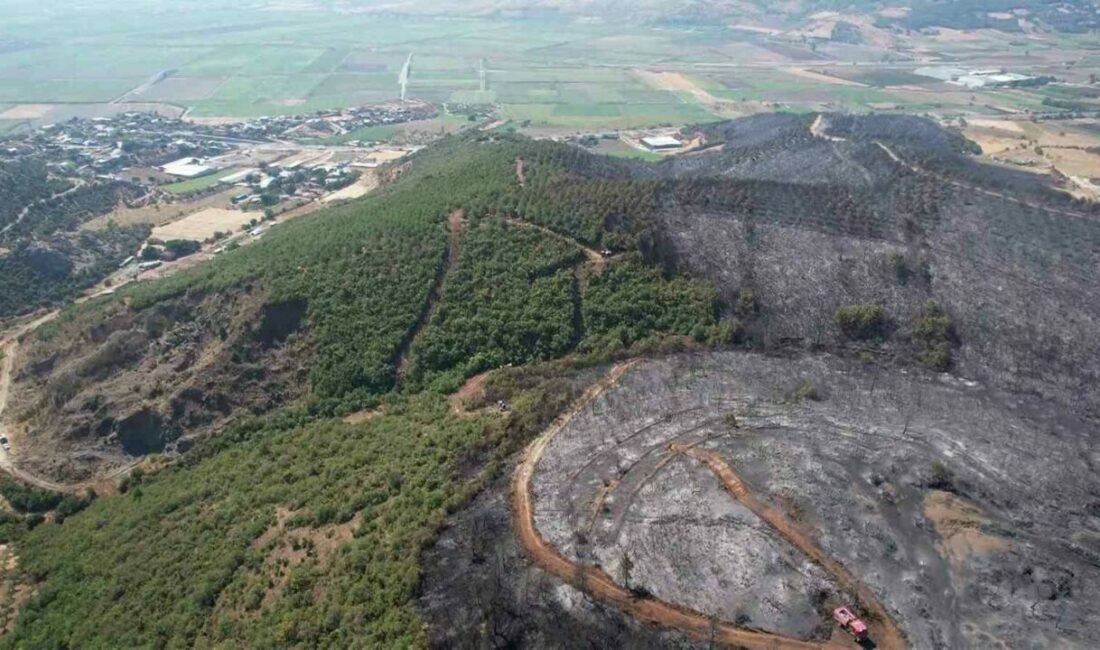 Bursa’nın Yenişehir ilçesi Fethiye Mahallesi’nde dün çıkan orman yangını, ekiplerin