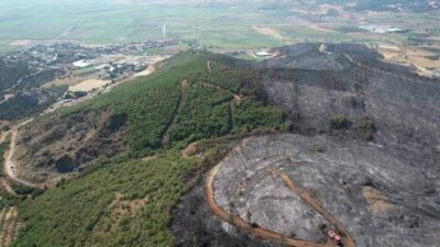 Bursa’nın Yenişehir ilçesi Fethiye Mahallesi’nde dün çıkan orman yangını, ekiplerin