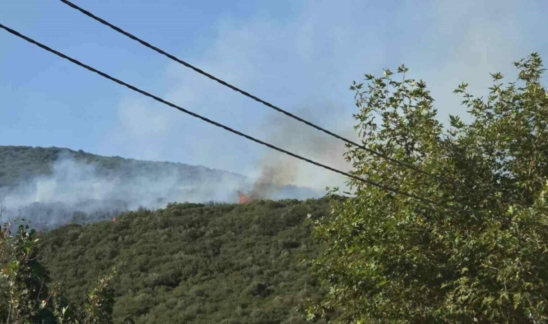 Bursa’daki orman yangını kontrol altına alındı Bursa’nın Orhangazi ilçesi Gedelek Köyü’ndeki orman yangını havadan ve karadan