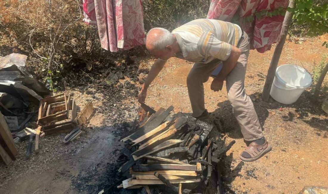 Bursa’daki yangında 300 kovan arı telef oldu Bursa’nın Gürsu ilçesinde çıkan orman yangınında 300 civarında arı kovanı