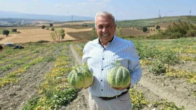 Bursa’nın tadı ve kokusuyla ünlü Konaklı kavununda üretim bu sene