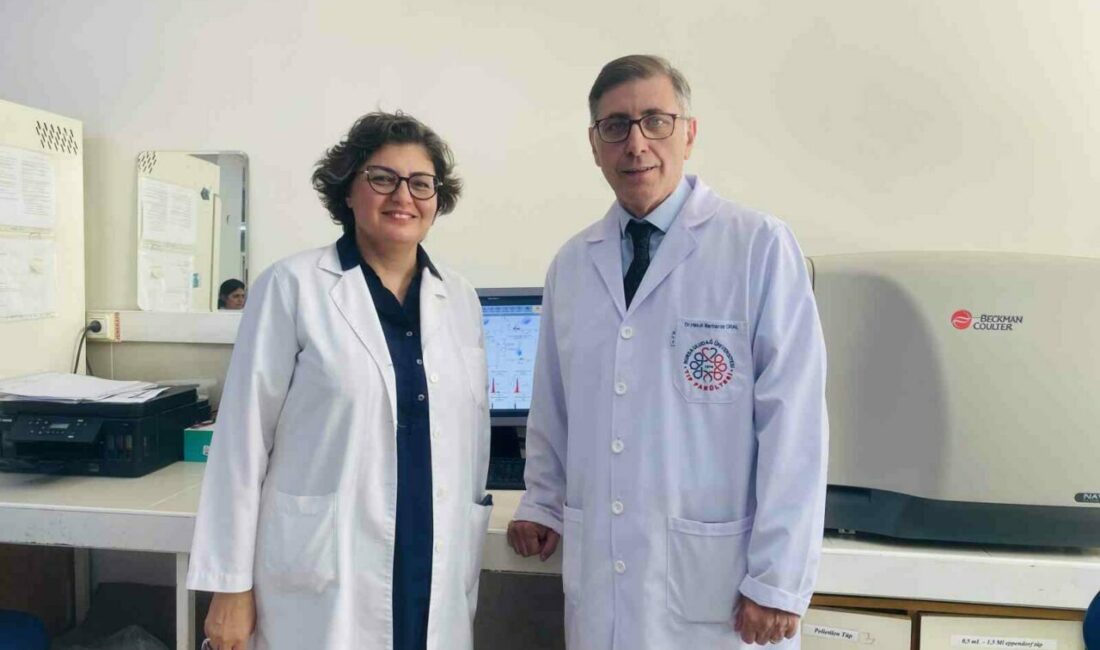 Bursa Uludağ Üniversitesi (BUÜ) akademisyenlerinin aralarında bulunduğu uluslararası bir araştırma