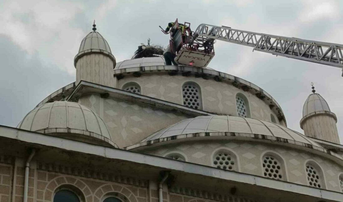 Cami kubbesinde mahsur kalan leyleği itfaiye kurtardı Bursa’nın İznik ilçesine bağlı Orhaniye köyünde, cami kubbesindeki yuvasında mahsur