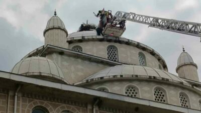 Bursa’nın İznik ilçesine bağlı Orhaniye köyünde, cami kubbesindeki yuvasında mahsur