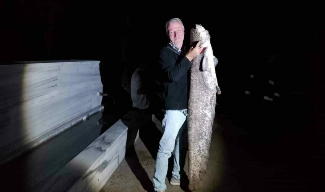 Çiçeközü Barajı’nda dev yayın balığı Bursa’nın Yenişehir ilçesinde bulunan Çiçeközü Barajı’nda amatör bir olta balıkçısı,