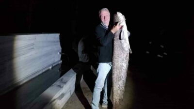 Bursa’nın Yenişehir ilçesinde bulunan Çiçeközü Barajı’nda amatör bir olta balıkçısı,