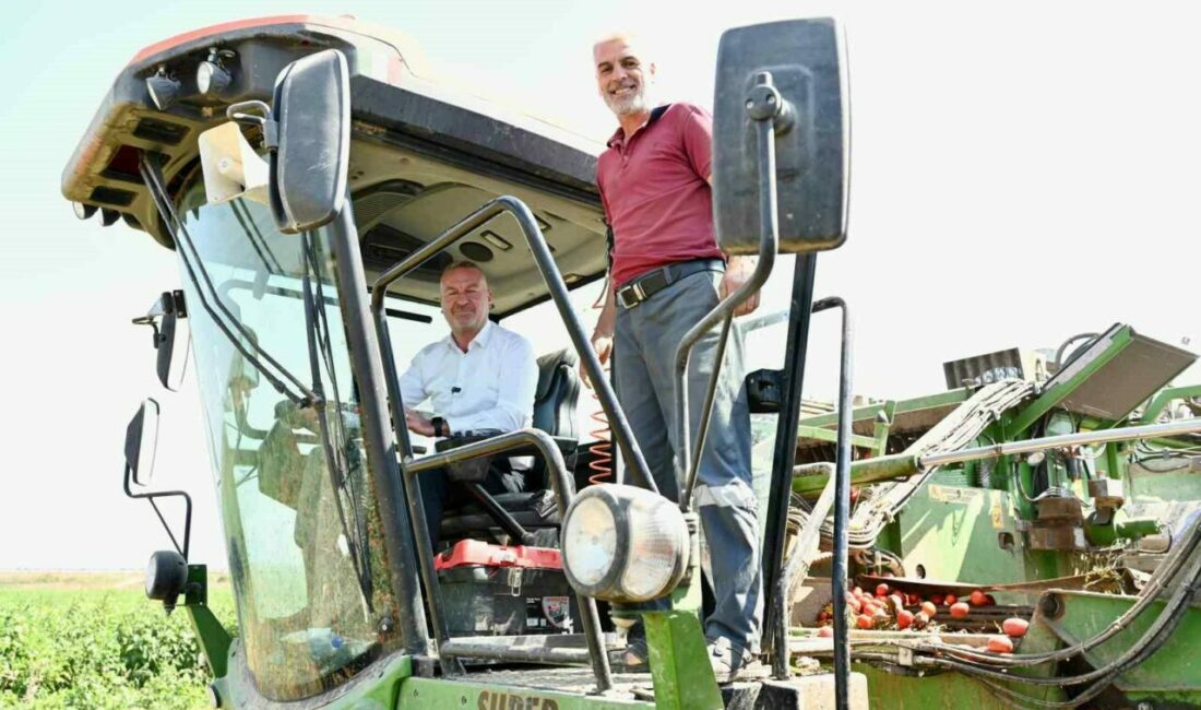 Domatesin başkenti Karacabey’de hasat sezonu sürüyor Türkiye’nin salçalık domates ihtiyacının yüzde 40’ını karşılayan Karacabey Ovası’nda hasat