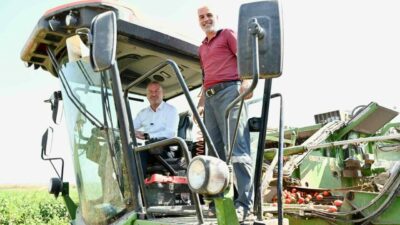 Türkiye’nin salçalık domates ihtiyacının yüzde 40’ını karşılayan Karacabey Ovası’nda hasat