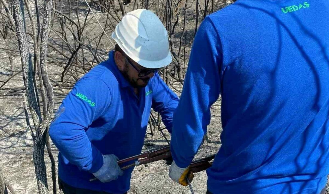 Enerji hatları yangının ardından yeniden onarılıyor Ülke genelinde farklı bölgelerde etkili olan orman yangınlarına karşı mücadele