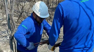 Ülke genelinde farklı bölgelerde etkili olan orman yangınlarına karşı mücadele