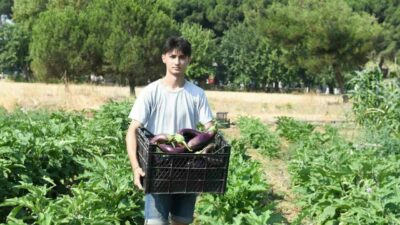 Osmangazi Belediyesi iştiraki Gazi Tarım A.Ş. 130 çeşit yerel ve