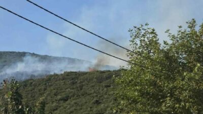 Bursa’nın Orhangazi ilçesinde dün meydana gelen orman yangını ile ilgili
