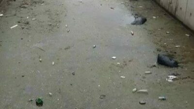 Bursa’nın Gemlik ilçesinde Karsak deresinden yağmur suyuyla birlikte denize dökülen