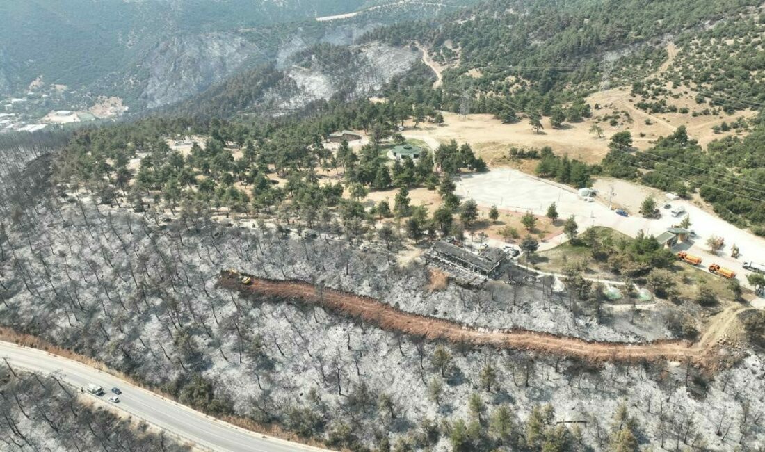 Gürsu kır lokantası ve terası küllerden temizlendi Gürsu’daki yangın faciasında, 80 dönümlük mesire alanı içinde yer alan